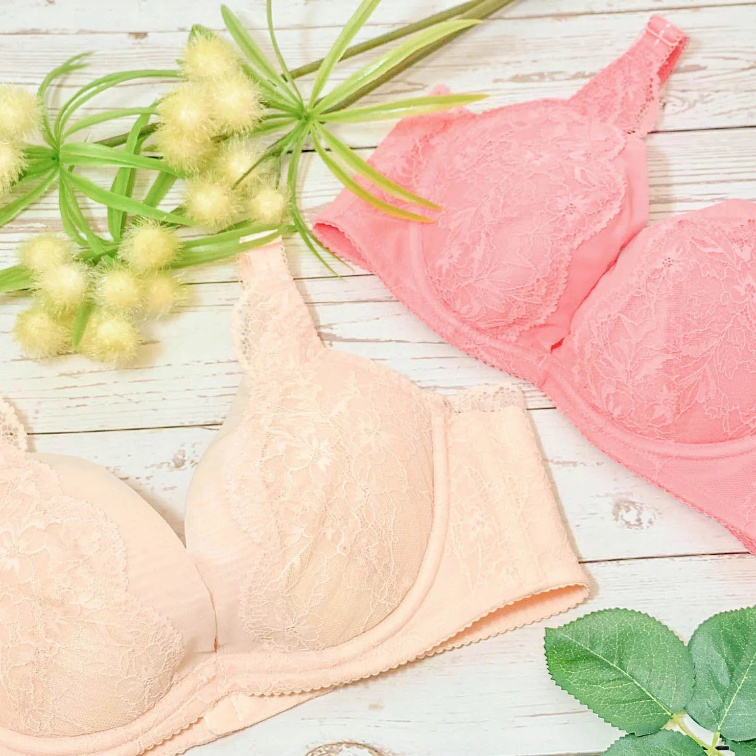 6328 - 軟鋼圈 Deep V喱士內衣