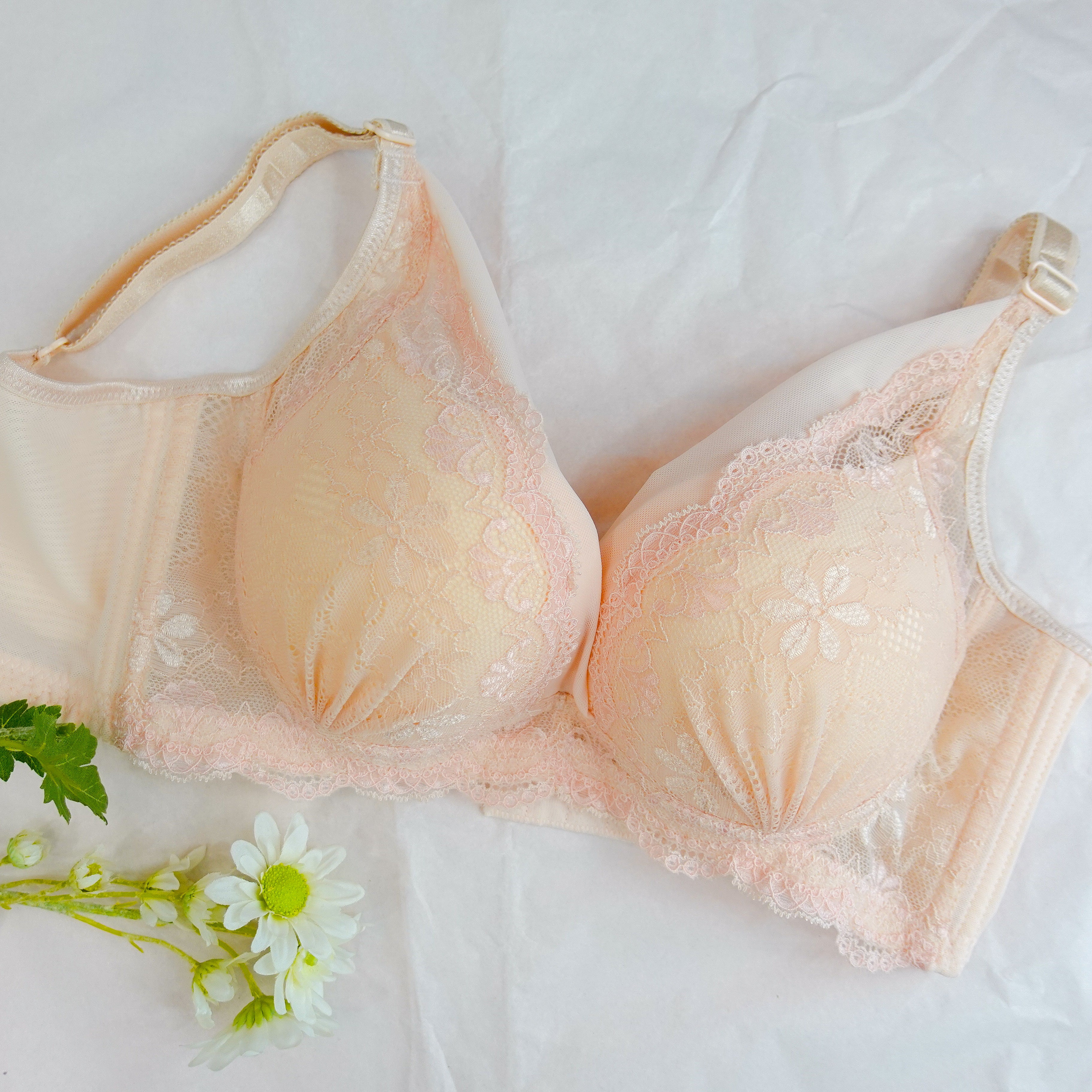 6991 -  無鋼圈承托隱固系列