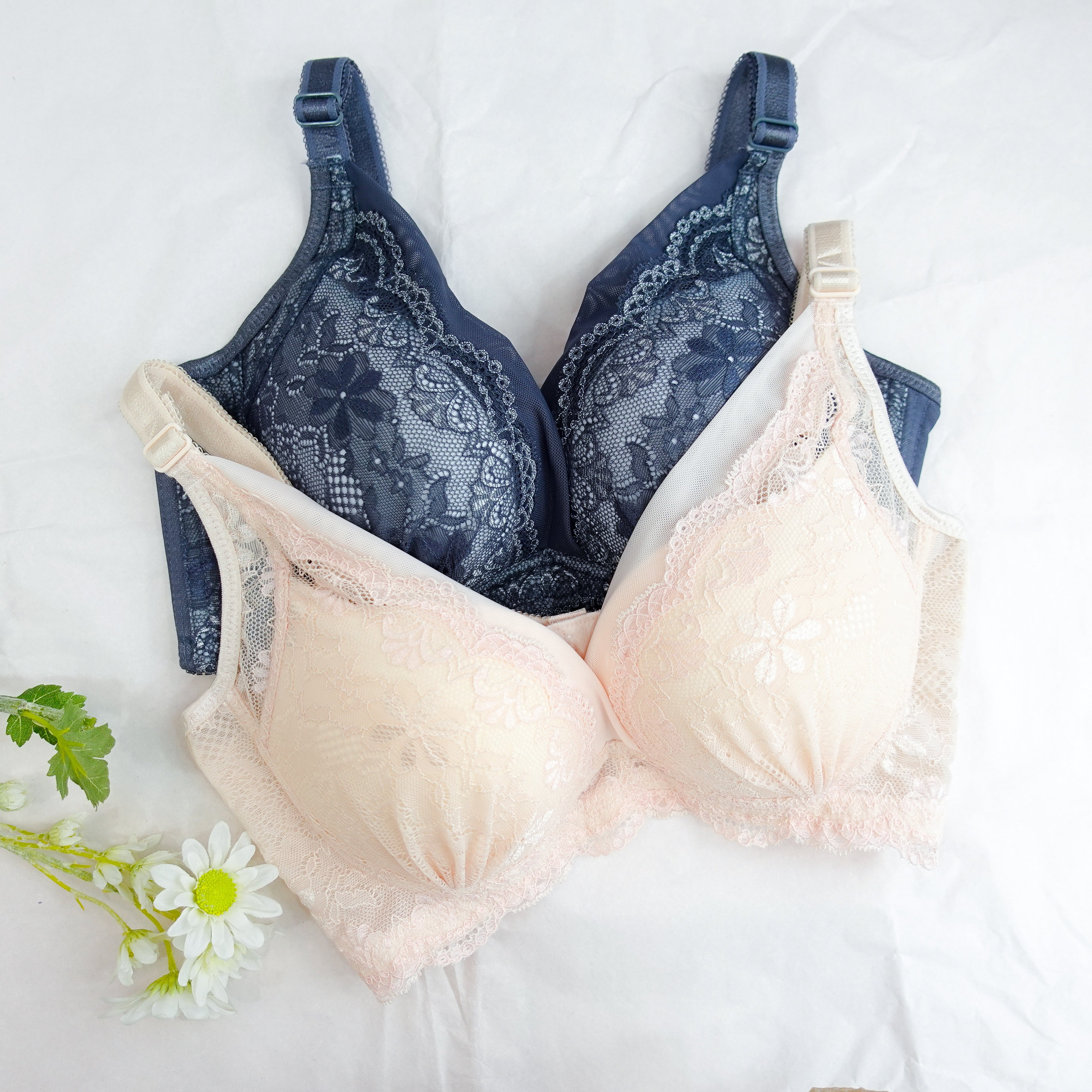 6991 -  無鋼圈承托隱固系列